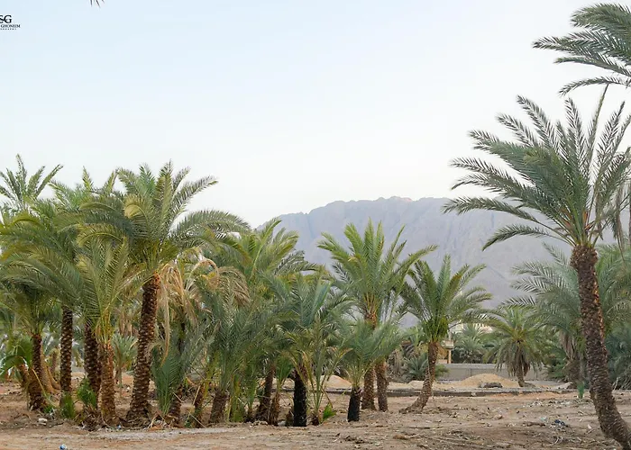 Palm Valley Camp