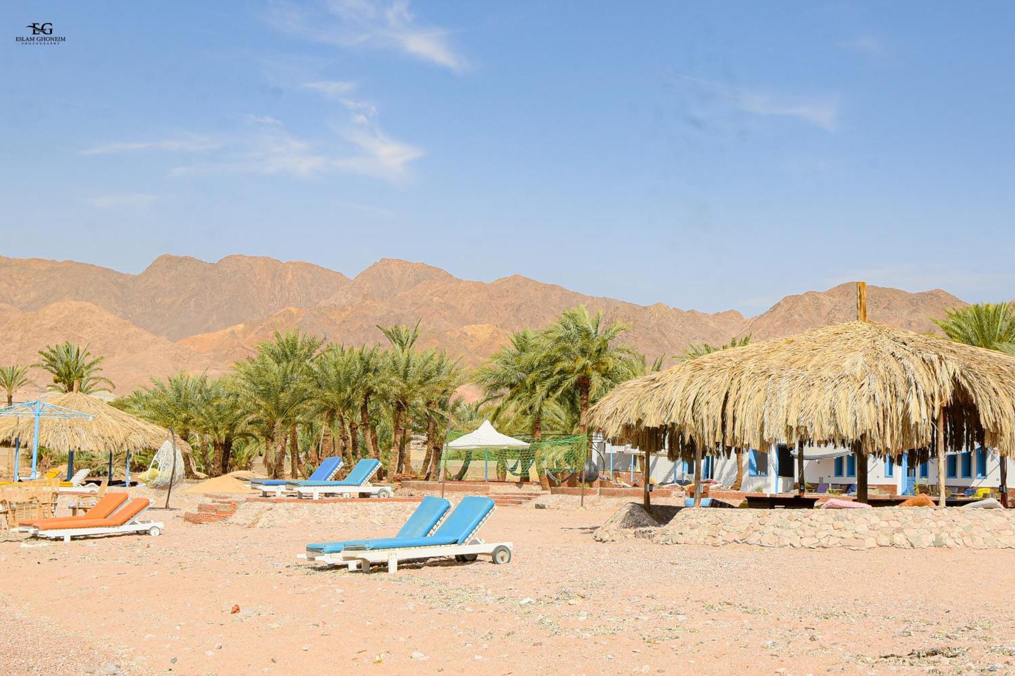 Palm Valley Camp Nuweiba`